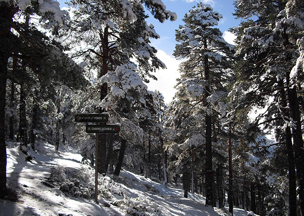 Fotos de El Tiempo: Las primeras nieves Fotos de El Tiempo: Las primeras nieves