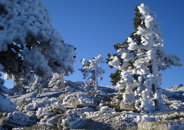 Invierno de contrastes Invierno de contrastes