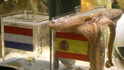 El pulpo Paul dice que España ganará el mundial