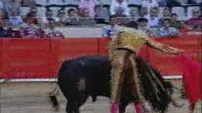 El PP propondrá una ley para anular la prohibición de los toros