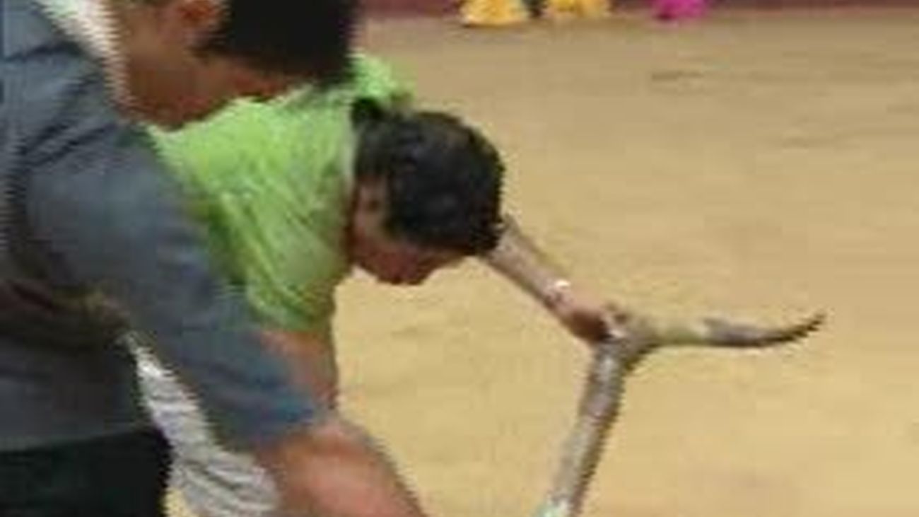 Figuras del toreo ven una "barbaridad" la prohibición