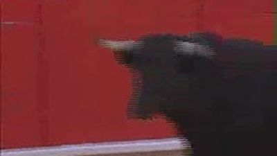 Manifiesto a favor de "la Fiesta"