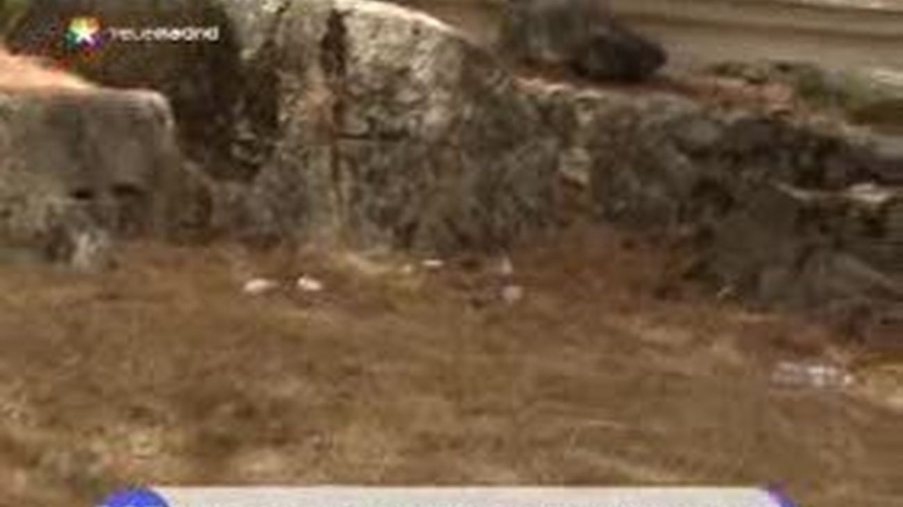 ¿La playa de Madrid o un vertedero?