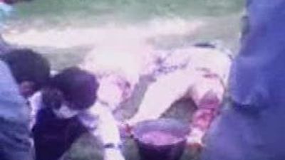 Talibanes asesinan a seis médicos de una ONG