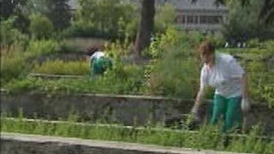 Hay futuro tras los malos tratos