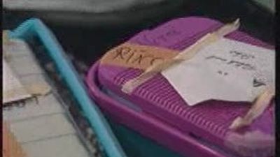 La región registra de enero a agosto un total  de 137 donaciones de órganos