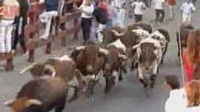 Un herido grave  en el quinto encierro de Sanse