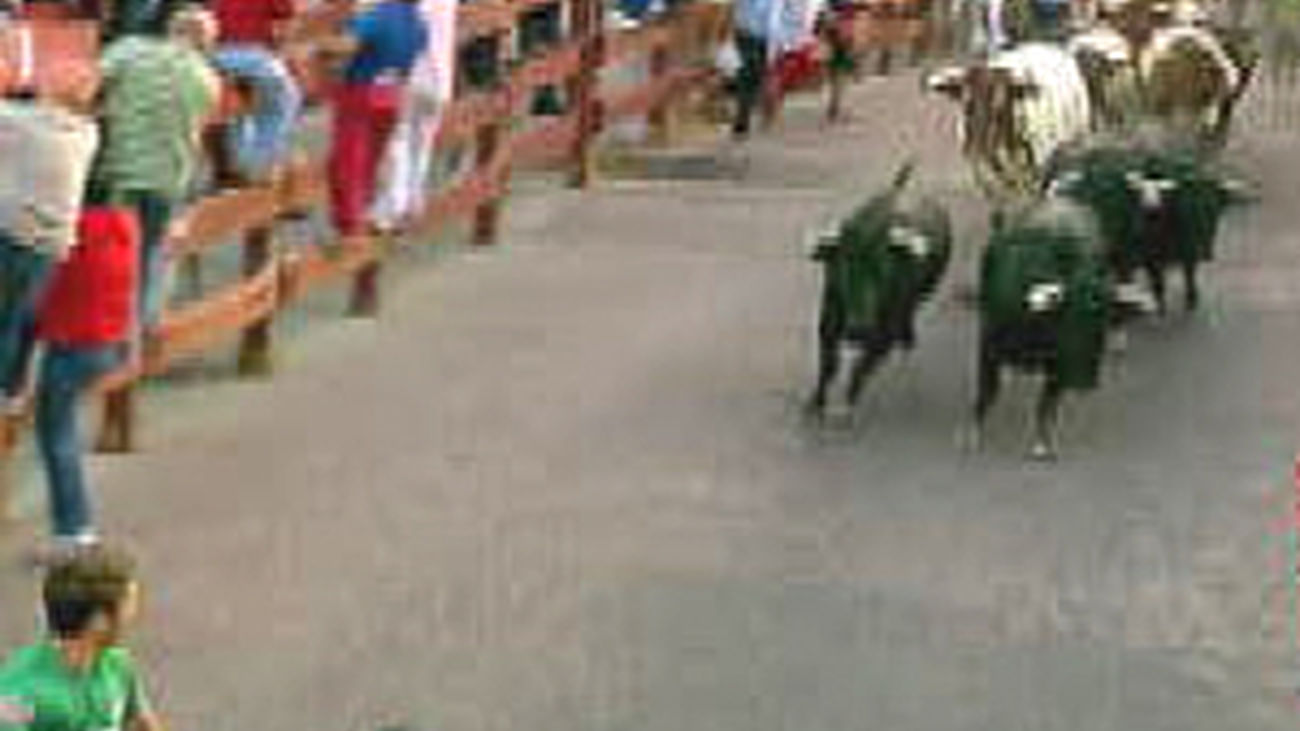 Primer encierro muy rápido y limpio en San Sebastián de los Reyes