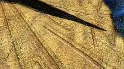 30 Minutos: "Afganistán"