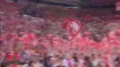 Corbacho dice que en España hay los liberados "que deben estar"