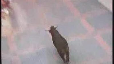 Otros dos muertos en encierros