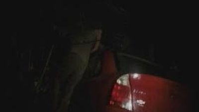 Alerta en seis municipios mexicanos al escaparse 400 cocodrilos por el huracán "Karl"