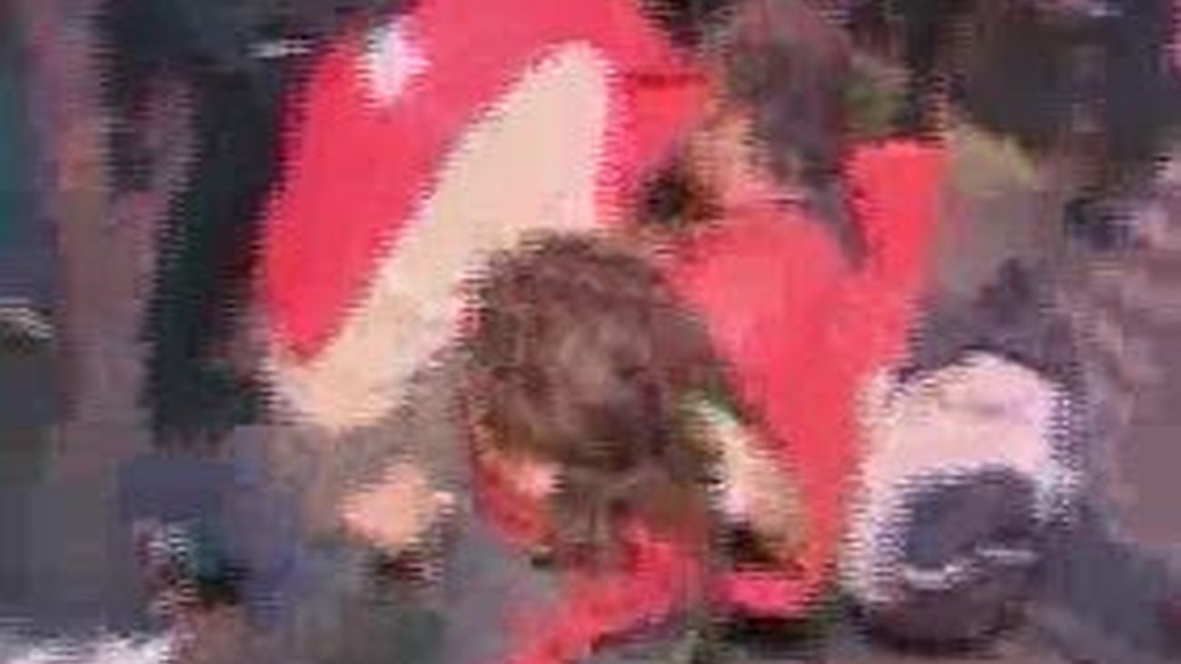 Los servicios mínimos de la EMT se restablecen tras el caos de la madrugada