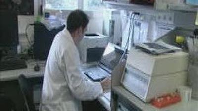 Se presenta un nuevo tratamiento para tumores de mama, basado en la combinación de dos fármacos