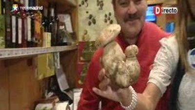 Ya es tiempo de setas