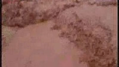 Cuatro muertos y un centenar de heridos en una marea tóxica en Hungría procedented e una planta de aluminio