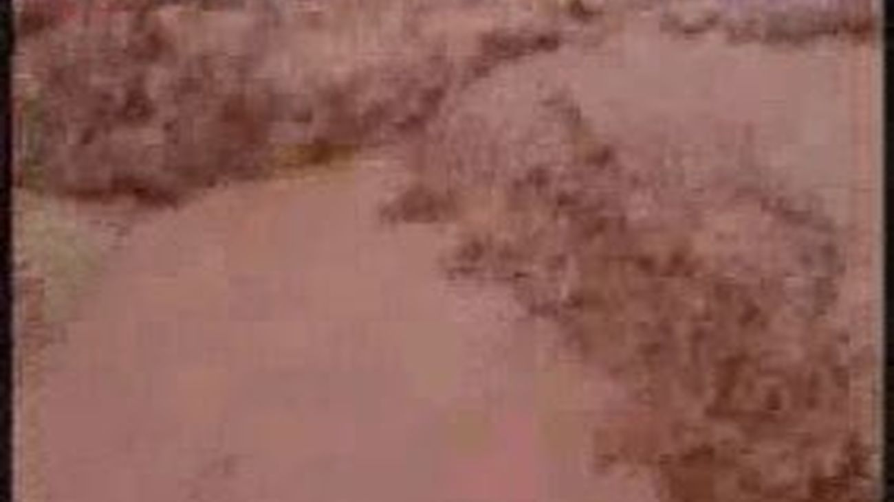 Cuatro muertos y un centenar de heridos en una marea tóxica en Hungría procedented e una planta de aluminio