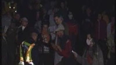 El vertido tóxico de lodo rojo de Hungría ha llegado ya  al río Danubio