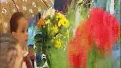 Unas 100.000 personas acuden a una ofrenda floral a la Virgen