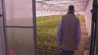 Agricultores y ganaderos denuncian saqueos nocturnos en sus explotaciones de Madrid