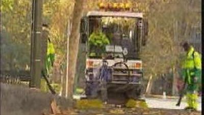 Ruiz Gallardón suprime los servicios especiales de recogida de la hoja y el cartonaje en Navidad