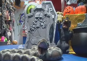 md_231010_jaloguin.wmv