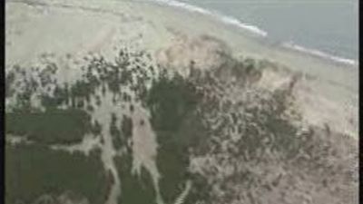 Al menos 343 muertos y 338 desaparecidos por el tsunami en Indonesia