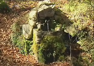 md-041110-hayedo.wmv