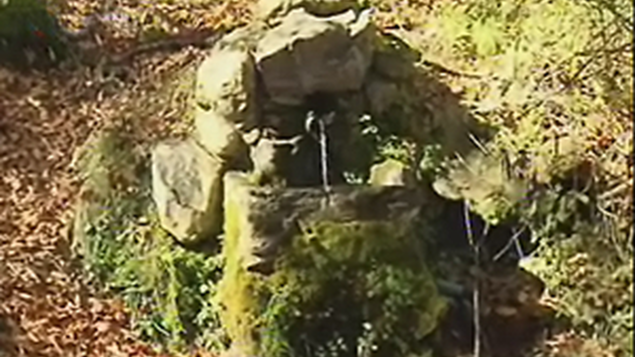 md-041110-hayedo.wmv