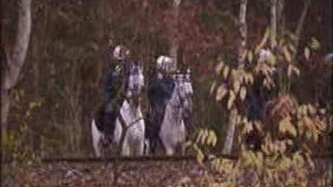 Activistas antinucleares alemanes bloquean el tren de basura radiactiva a 100 kilómetros del destino