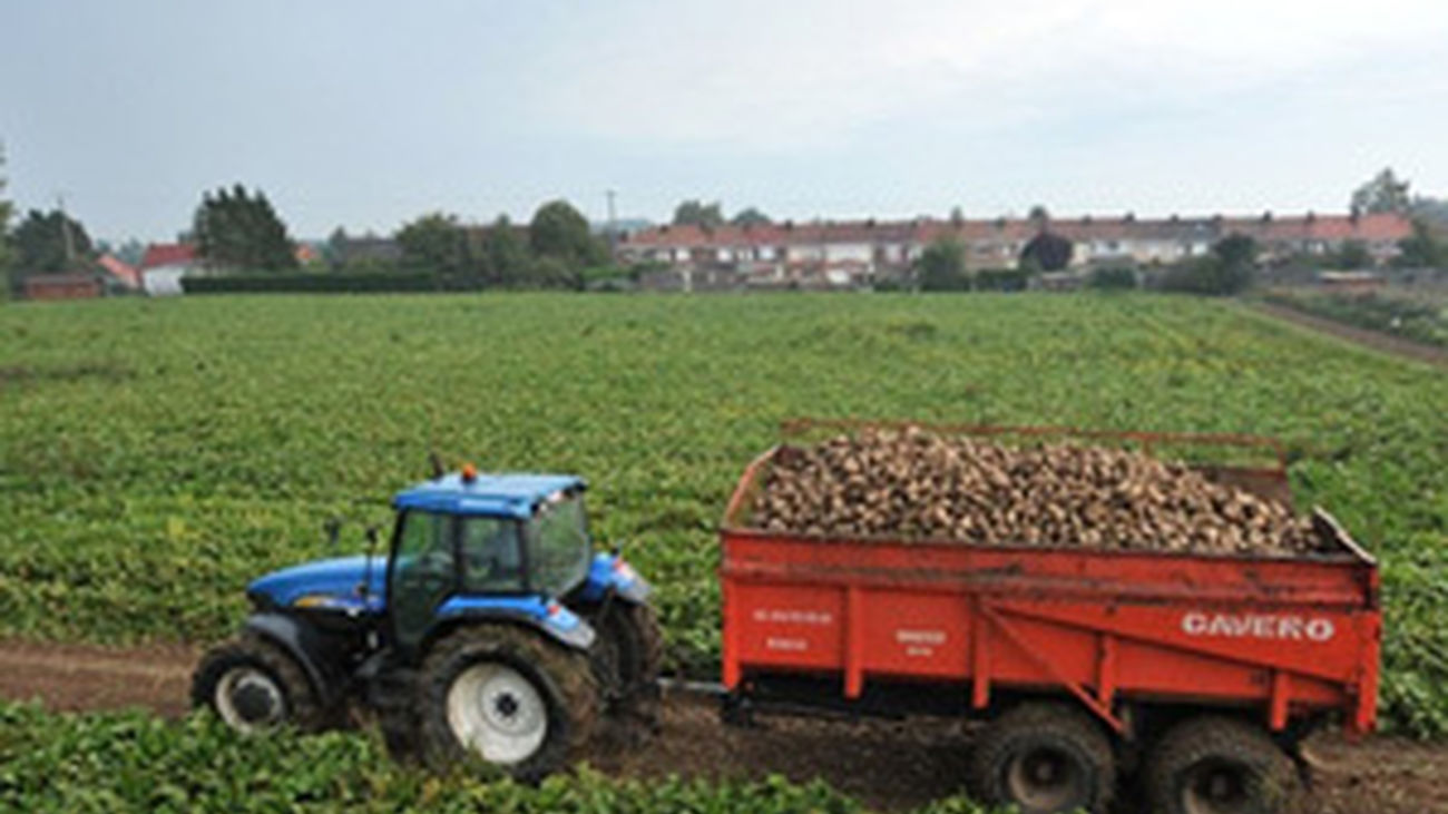Un tractor en una zona rural