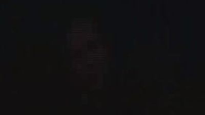 Bush se define como "una voz disidente" sobre Iraq