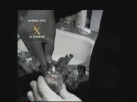 Cocaina_20101113V0.wmv