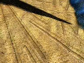 Ovnis ¿vienen o no?