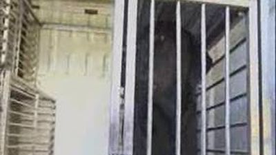 Muere un hombre y su hijo resulta herido por el ataque de dos perros