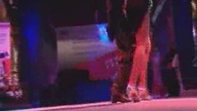 Aguirre entrega los premios del concurso de Bailes de Salón para Mayores