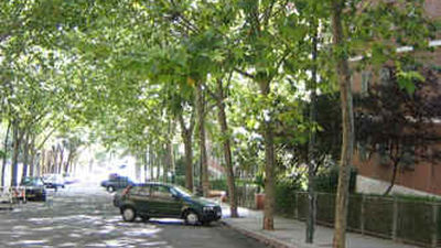 Casi 80 calles de 17 distritos de Madrid sufrirán cortes  y desvíos de tráfico por la poda del arbolado
