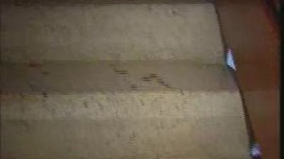 Mata a su ex novia de 25 años en Barakaldo y hiere de gravedad a su actual pareja