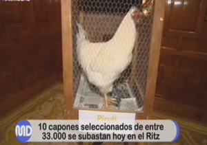 Una subasta de capones