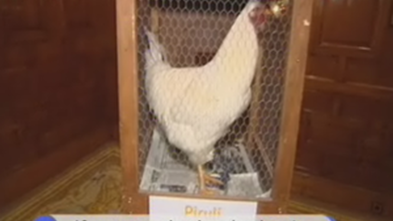 Una subasta de capones