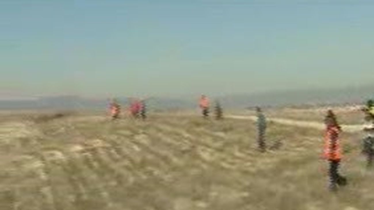 Ni rastro de María, tras un fin de semana de batidas por el monte de Boadilla