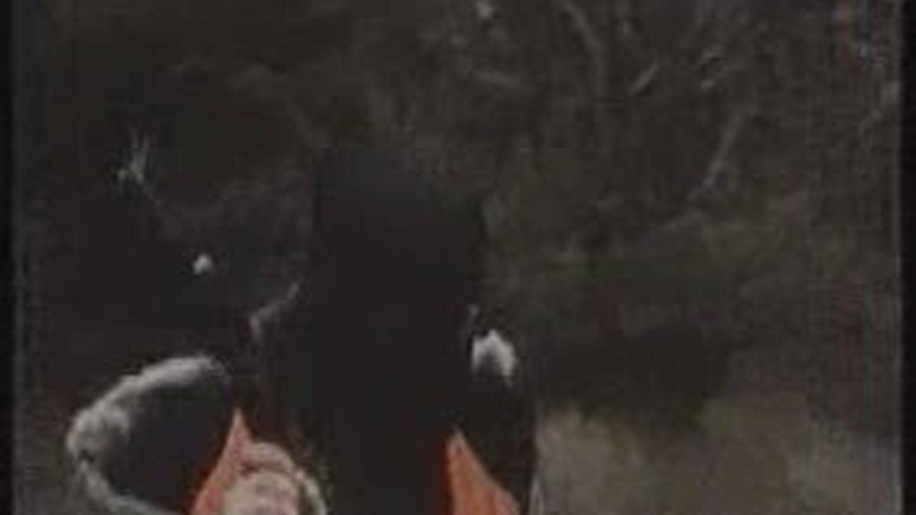 ETA: 829 asesinatos y diez "treguas"