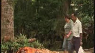 El número de muertos por las lluvias en Río de Janeiro se acerca a los 400