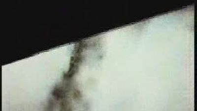 La reforestación del Cerro del  Castillo finaliza con la plantación de 5.000 árboles