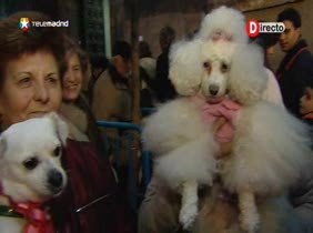 El día del patrón de los animales