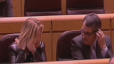 Comienzan las sesiones con traducción simultánea en el Senado