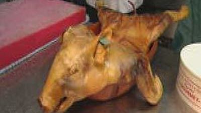 Así se hace el cochinillo