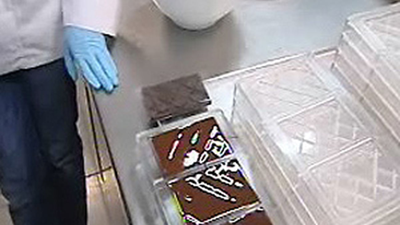 El mejor chocolate orgánico no es suizo