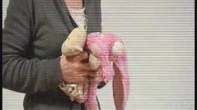 La policía rastrea Córcega con la madre de las mellizas suizas