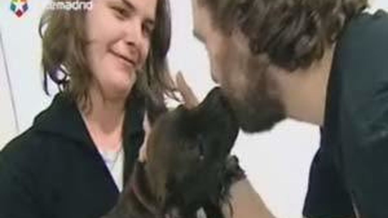 Psiquiatra para perros